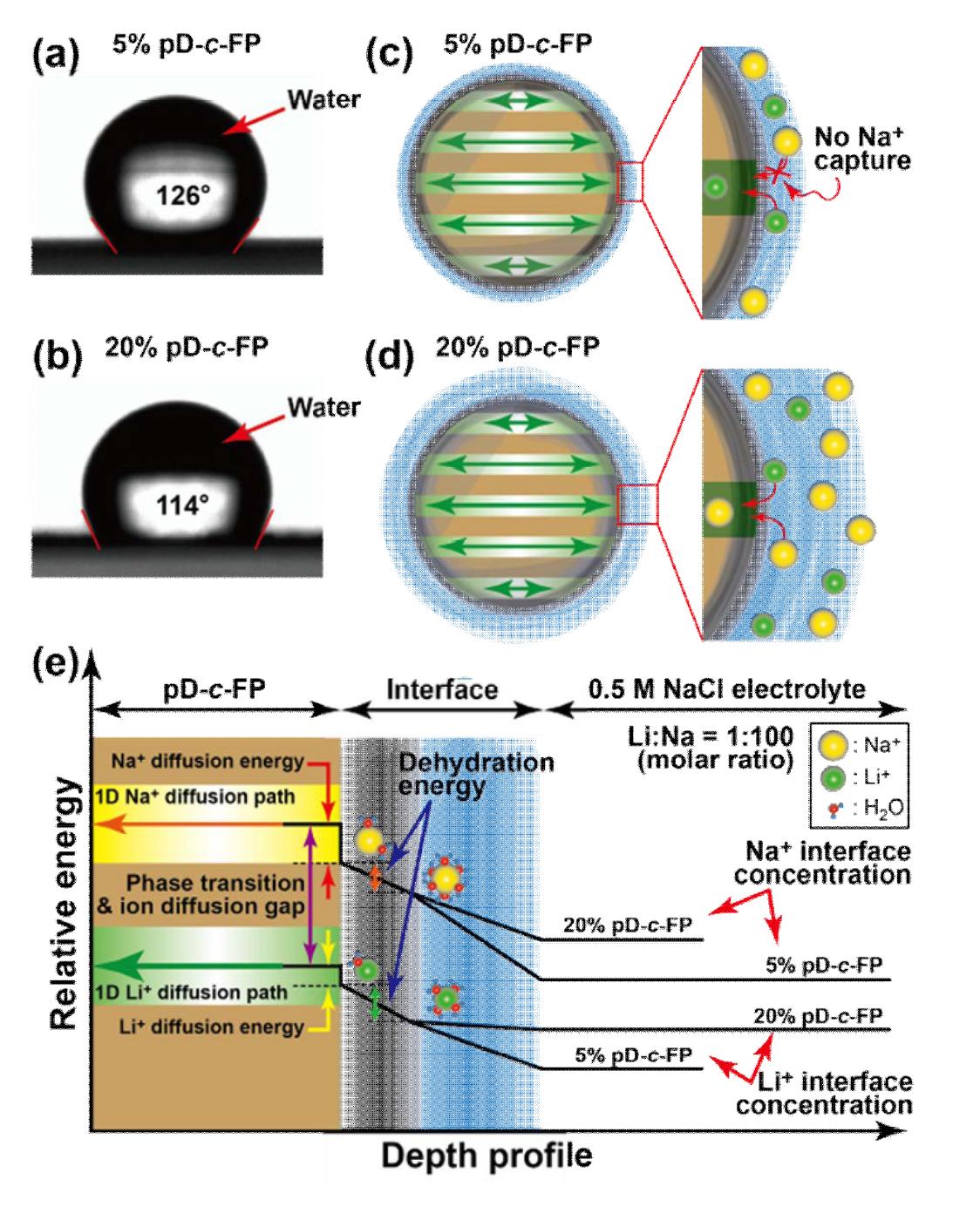 (a), (b) pD 코팅 농도에 따른 접촉각 변화, (c), (d) 젖음성 효과에 따른이온 삽입 모식도, (e) pD 코팅 농도에 따른 양이온 삽입 과정 모식도