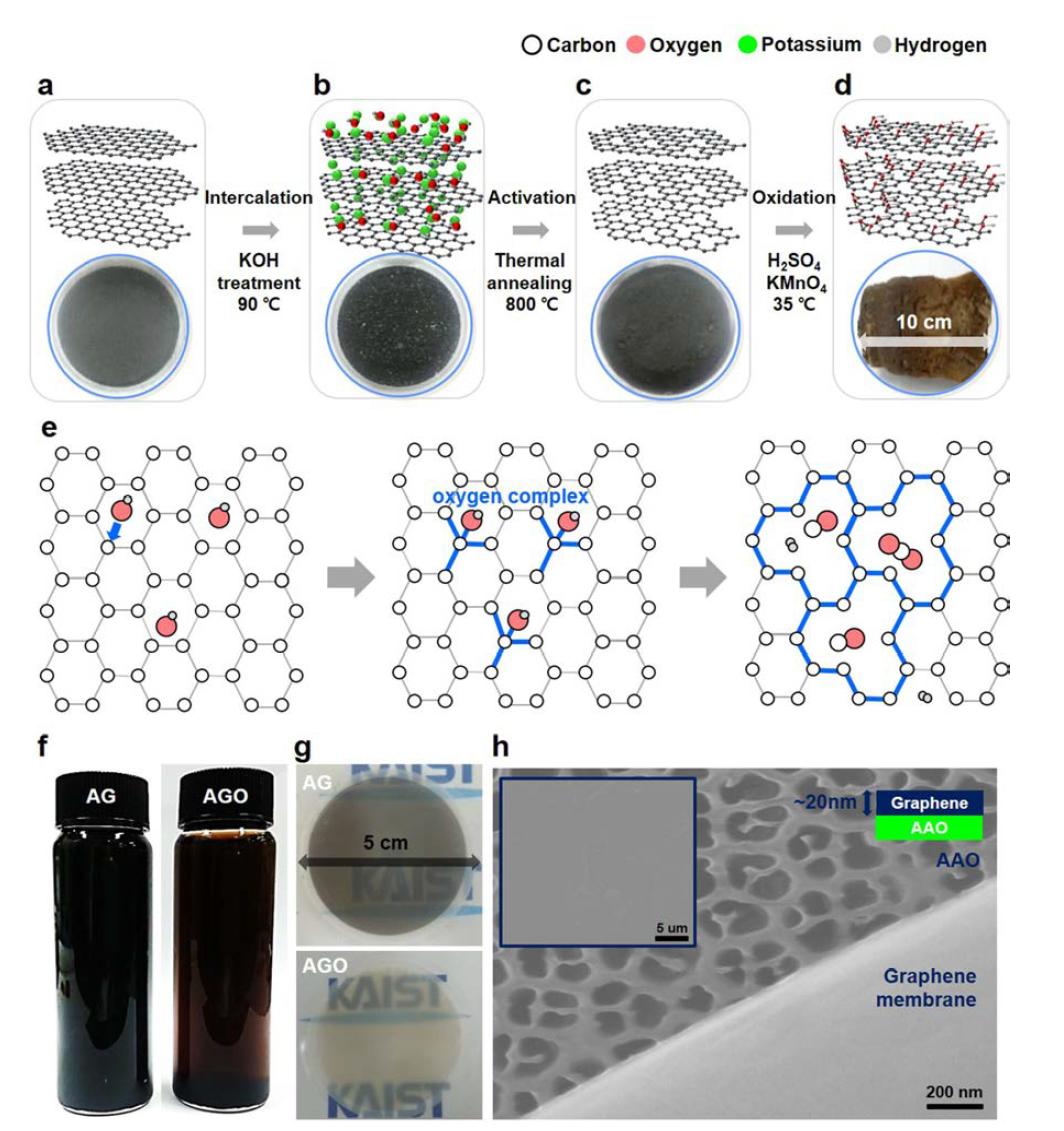 Bulk-scale preparation of graphene with atomic pores.