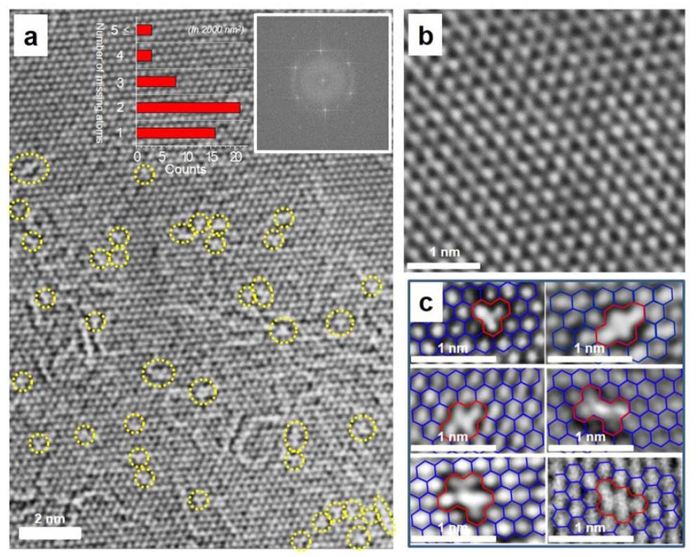Direct observation of atomic vacancies in the basal plane of graphene