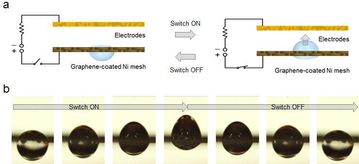 Electro-wetting of separator membranes. (a) Scheme for electro-wetting experiment. (b) Backward actuation due to gravity force