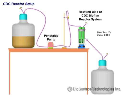 CDC bioreactor 설치도