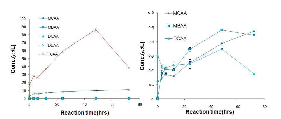 염소 접촉시간에 따른 HAA5 생성능