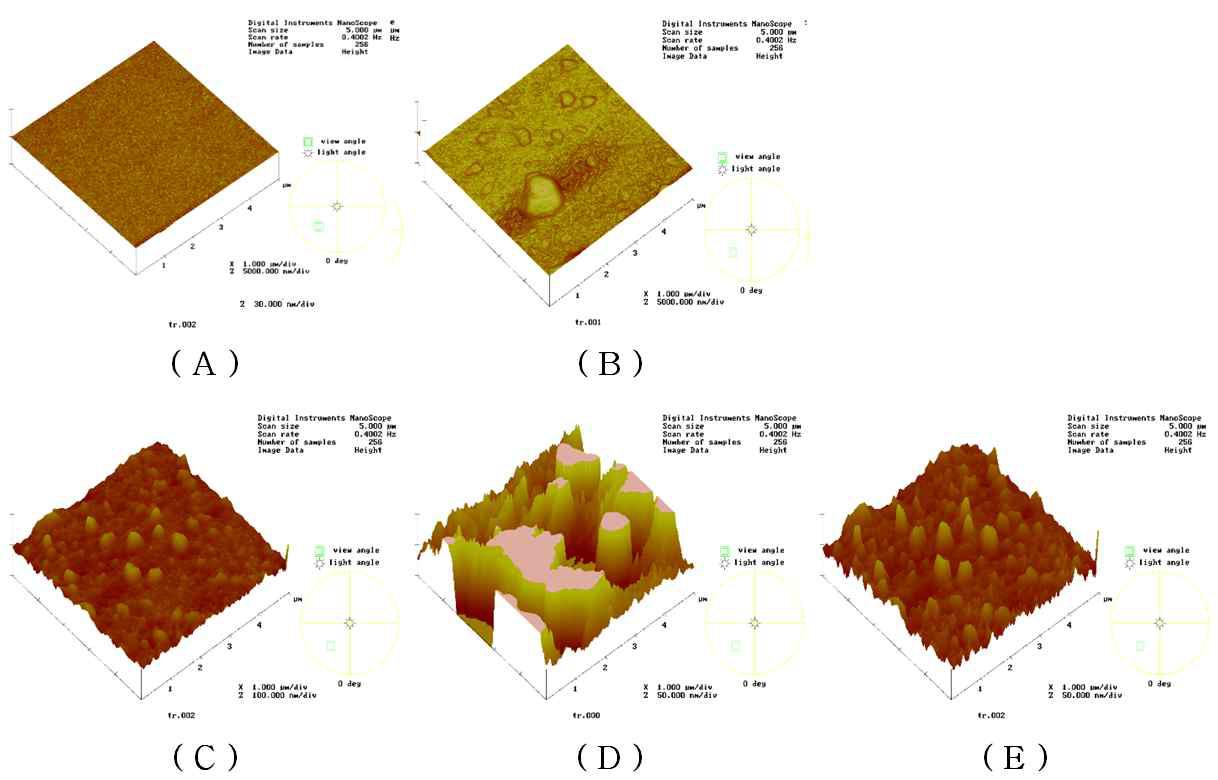 처리조건에 따른 표면측정(AFM) 결과