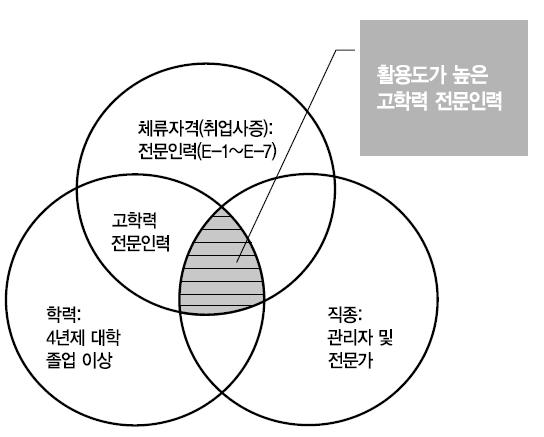 고학력 전문 외국인 인력의 범위 및 분석 초점