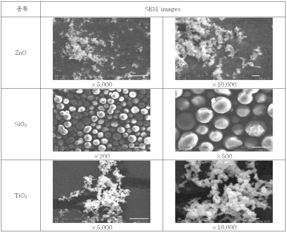 SEM images of functional materials