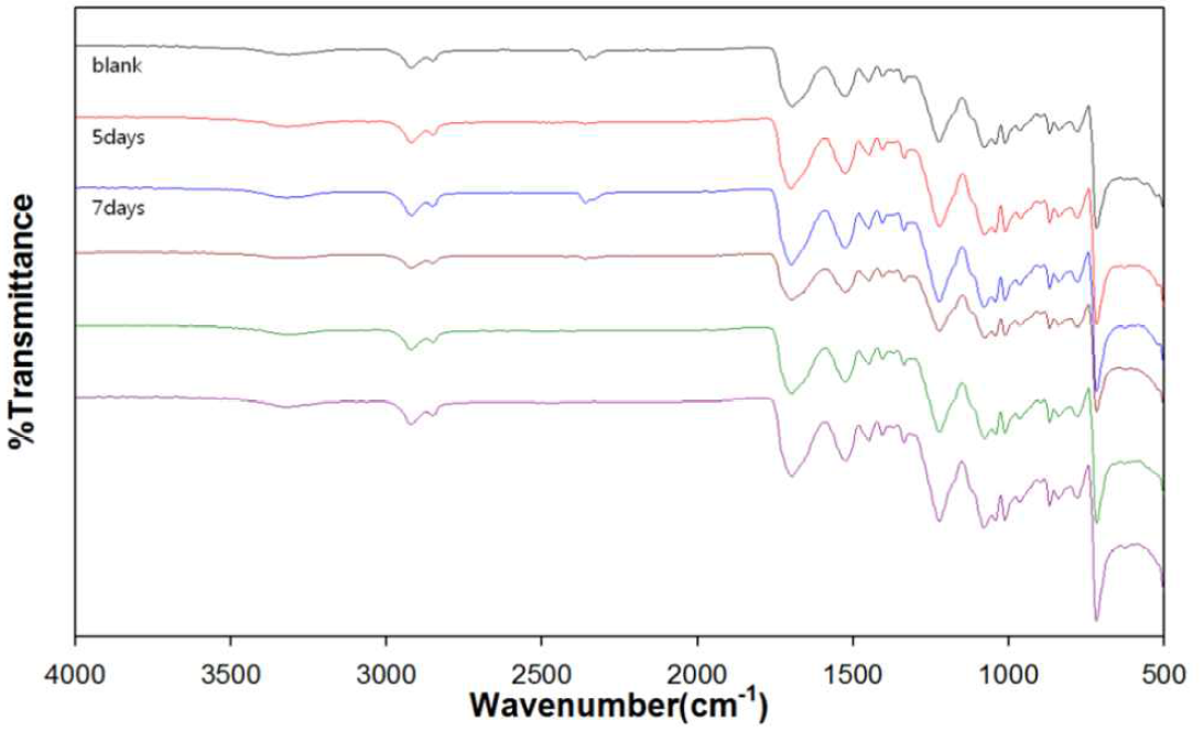 FT-IR spectra of artificially aged MF film; the reverse side