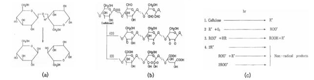 Degradation of papers; (a) hydrolysis (b) oxidation (c) photo-oxidation