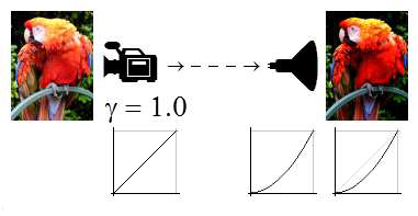 Display case of not applied gamma factor