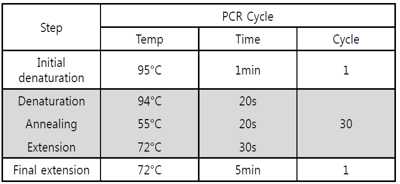 Mycoplasma 검출용 PCR 조건