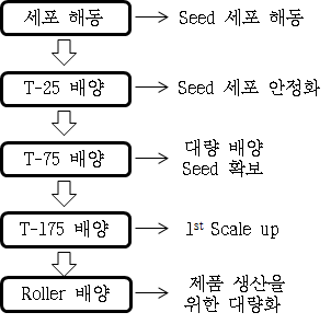 세포주 대량배양 조건 최적화 전략