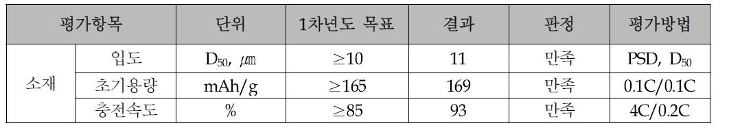 1차년도 목표 및 달성 현황