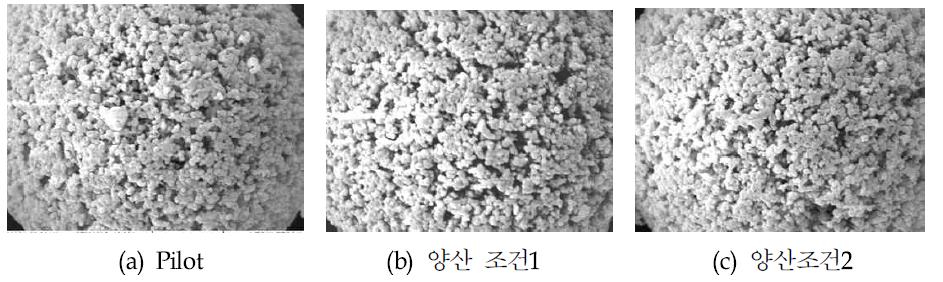 소성조건 별 형상