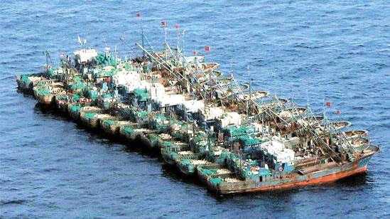 불법조업후 주변선박과 계류중인 중국 어선집단
