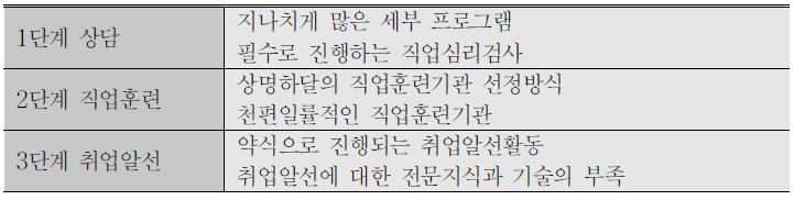 취업성공패키지의 공통적인 문제점