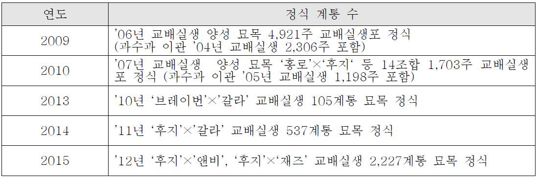 왜성대목 접목된 교배실생의 선별 도태 후 포장 정식