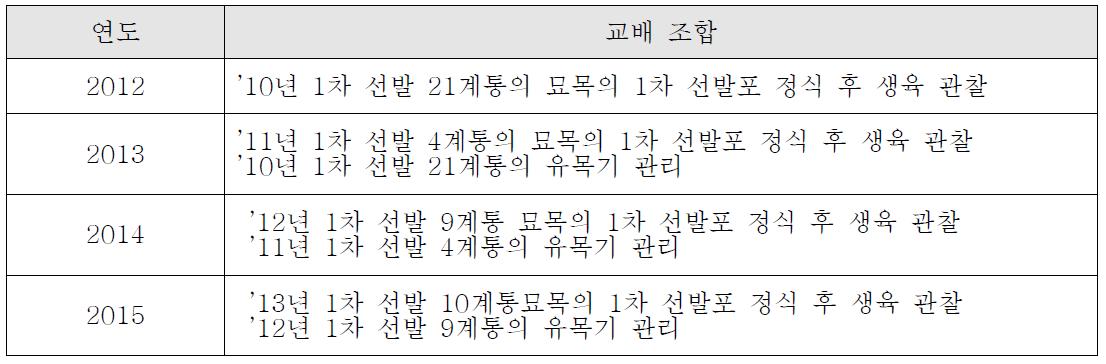 1차선발 계통 묘목의 시험포 정식 후 생육 관찰