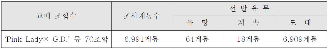 ’10년 결실 만생 계통 과실특성 조사