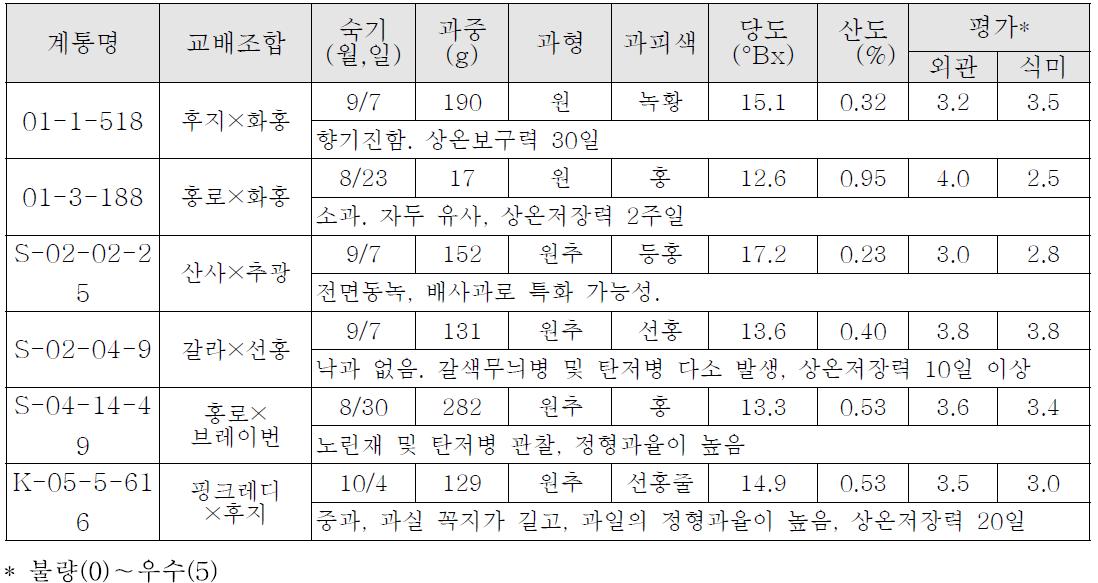 2011년 1차 선발 유망 계통의 생육 및 과실특성