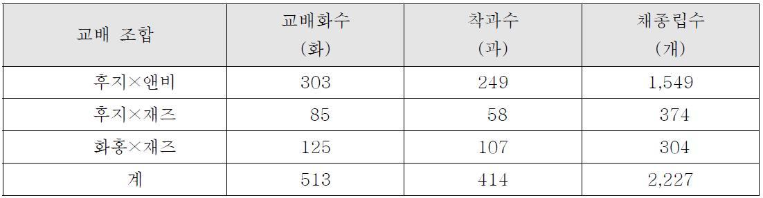 ’12년 신규교배 조합의 착과 수 및 채종립 수