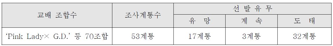 ’12년 결실 만생 계통 과실특성 조사