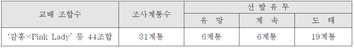 ’13년 결실 만생 계통 과실특성 조사