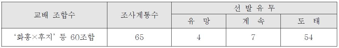 ’15 결실 1차선발 계통 과실특성 조사