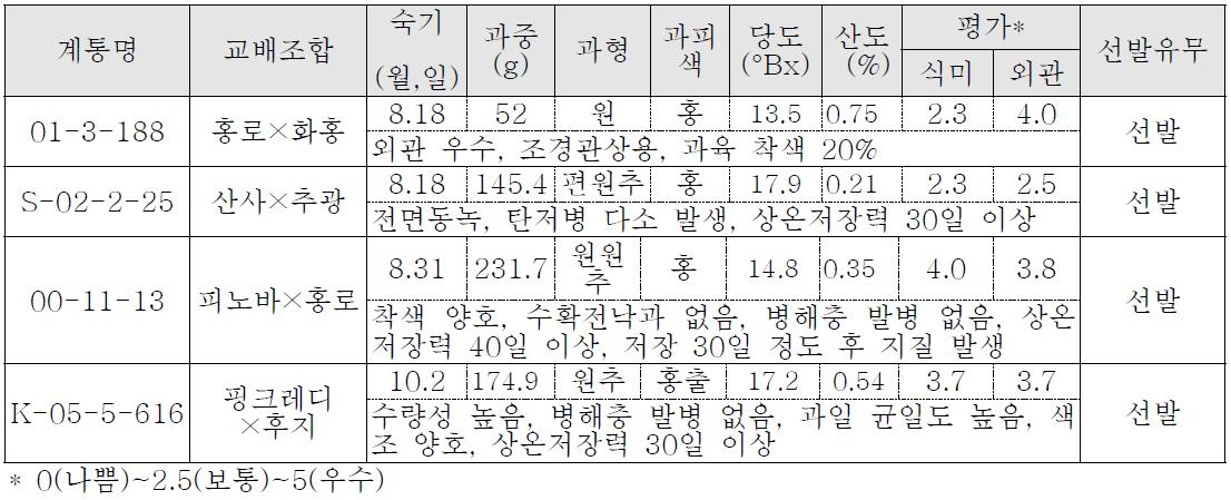 1차 선발 착과 계통의 과일 특성