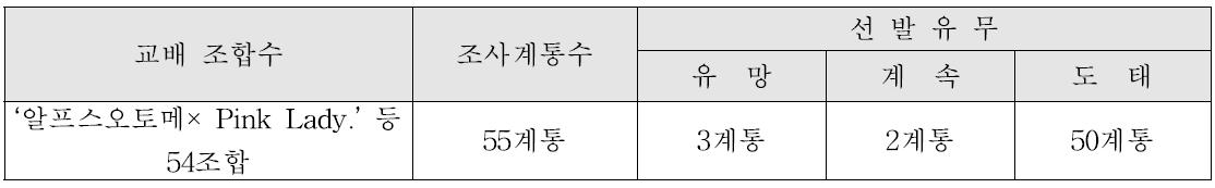 착과 교배 실생의 과실 및 생육 특성 조사에 의한 1차 선발(’04년 교배실생)