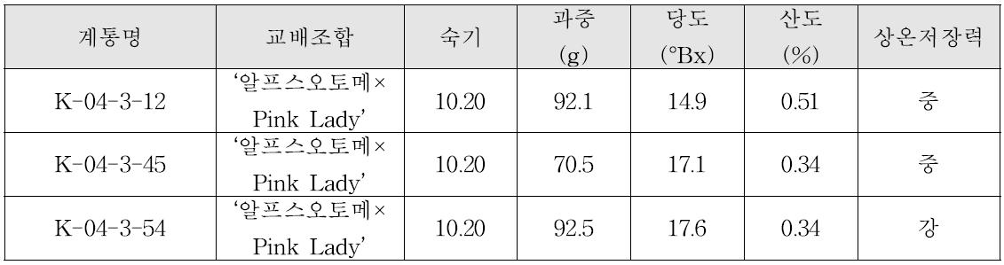 ’09년 1차 선발 유망계통의 과실 특성