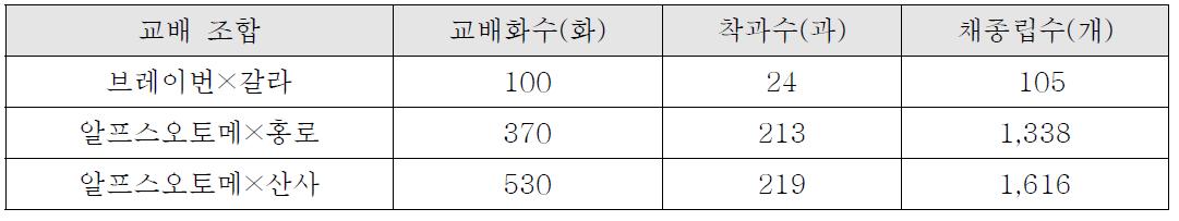 ’10년 인공교배 조합 및 채종립수