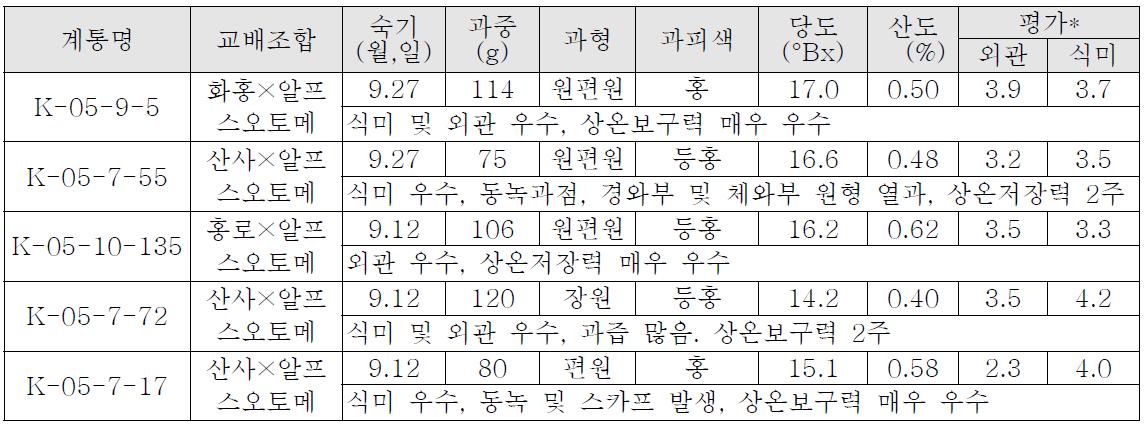 1차 선발 착과 계통의 과일특성