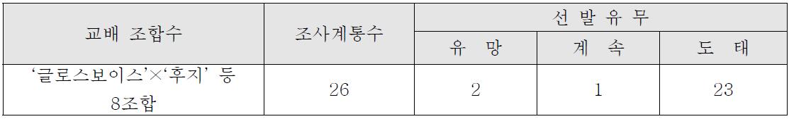 ’14년 결실 만기개화성 계통 과실특성 조사