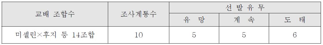 ’15년 결실 만기개화성 계통 과실특성 조사