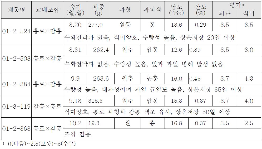 1차 선발 착과 계통 조사