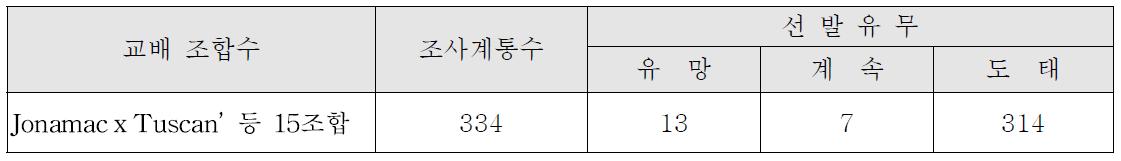 ’15년 적색과육 계통 과실특성 조사