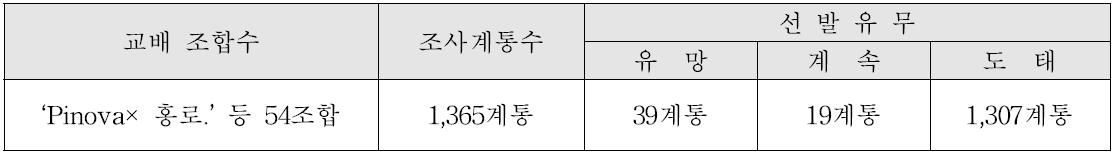 ’95~’00년 교배계통의 선발 도태