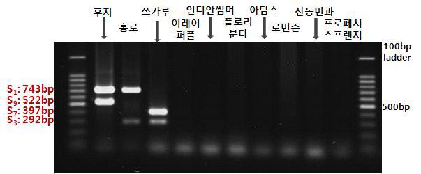 주요 품종 및 조경용 꽃사과의 S-allele PCR 결과(2012년)