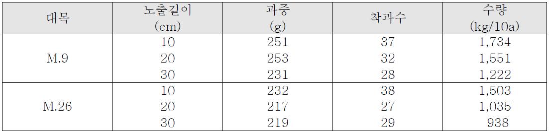 2012년 대목 종류 및 노출정도에 따른 ‘썸머드림’의 수량성