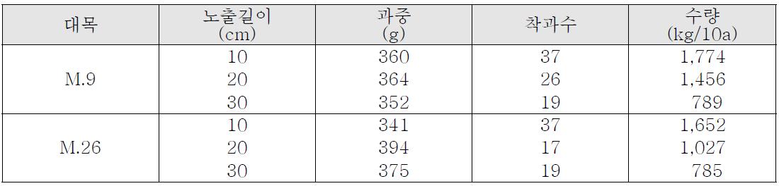 2012년 대목 종류 및 노출정도에 따른 ‘홍금’의 수량성