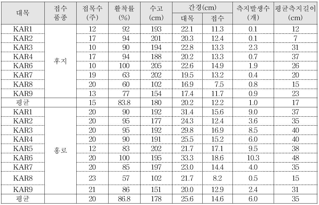 KAR 계통 접목활착률 및 생육 조사(’09, 재식 당년)