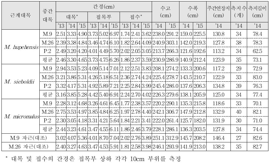 근계대목 및 중간대목별 ‘후지’의 생육 특성(’13∼’15)