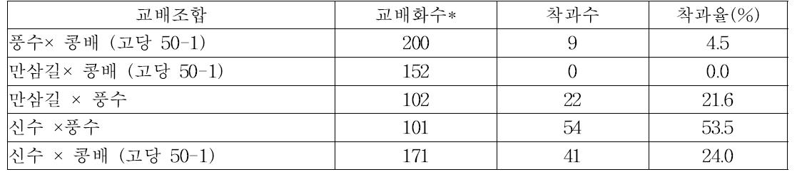 저온요구도 낮은 품종 육성을 위한 조기선발 기술 개발용 집단작성을 위한 신규교배