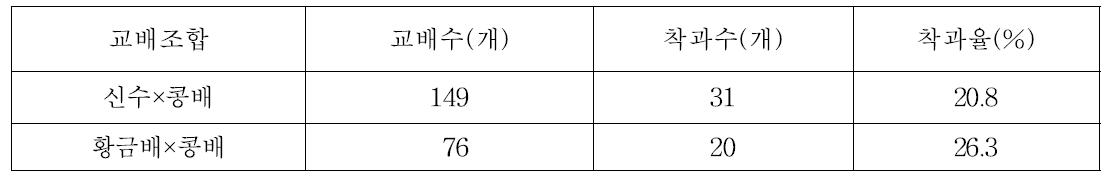 신규 교배 조합