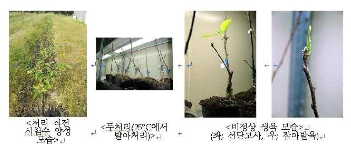 저온요구도 평가에 사용된 시험수의 상태