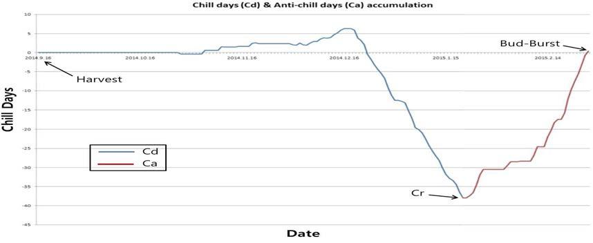 Chill days와 Anti-chill days 누적에 따른 저온요구지수 모델식 그래프