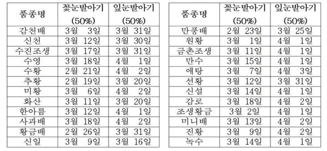 주요 배 품종들의 발아기 조사