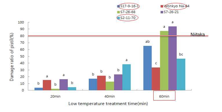 Stigma damage by low temperature (2013-2014)