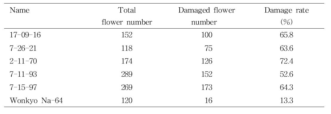 Stigam damage ratio(%) under the low tempearture(–2 C) during 40min.