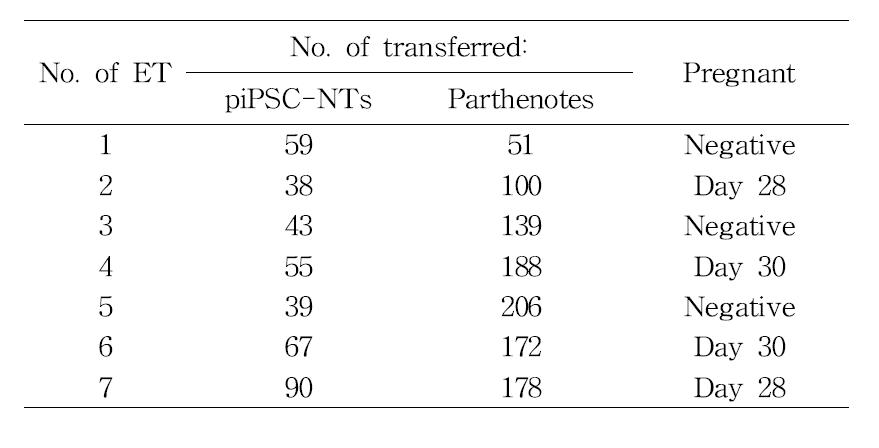 Current Results for the Embryo Transfer of piPSC-NTs