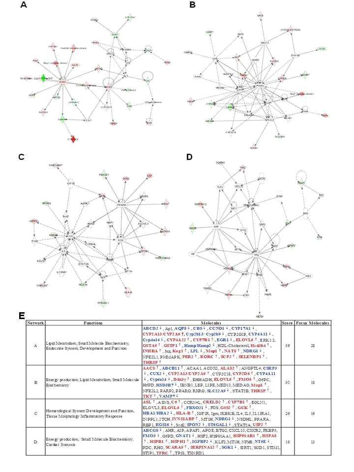 Networks Predicted by Ingenuity Pathway Analysis in the Homozygous CMAH KO Mice